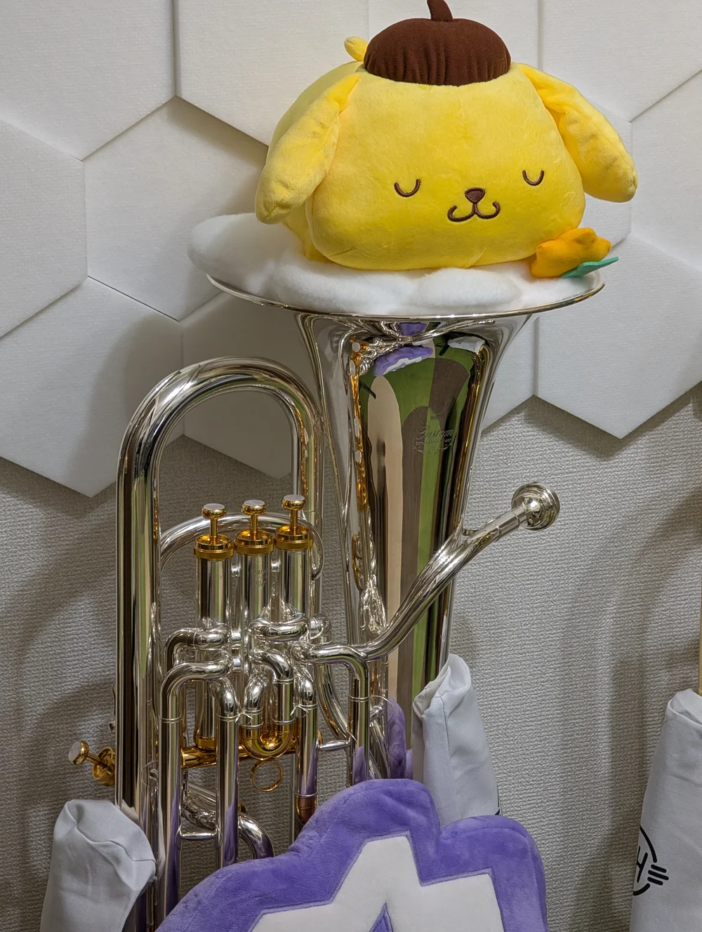 Photograph of Regal Jeuph, Yamaha YEP-842S Euphonium