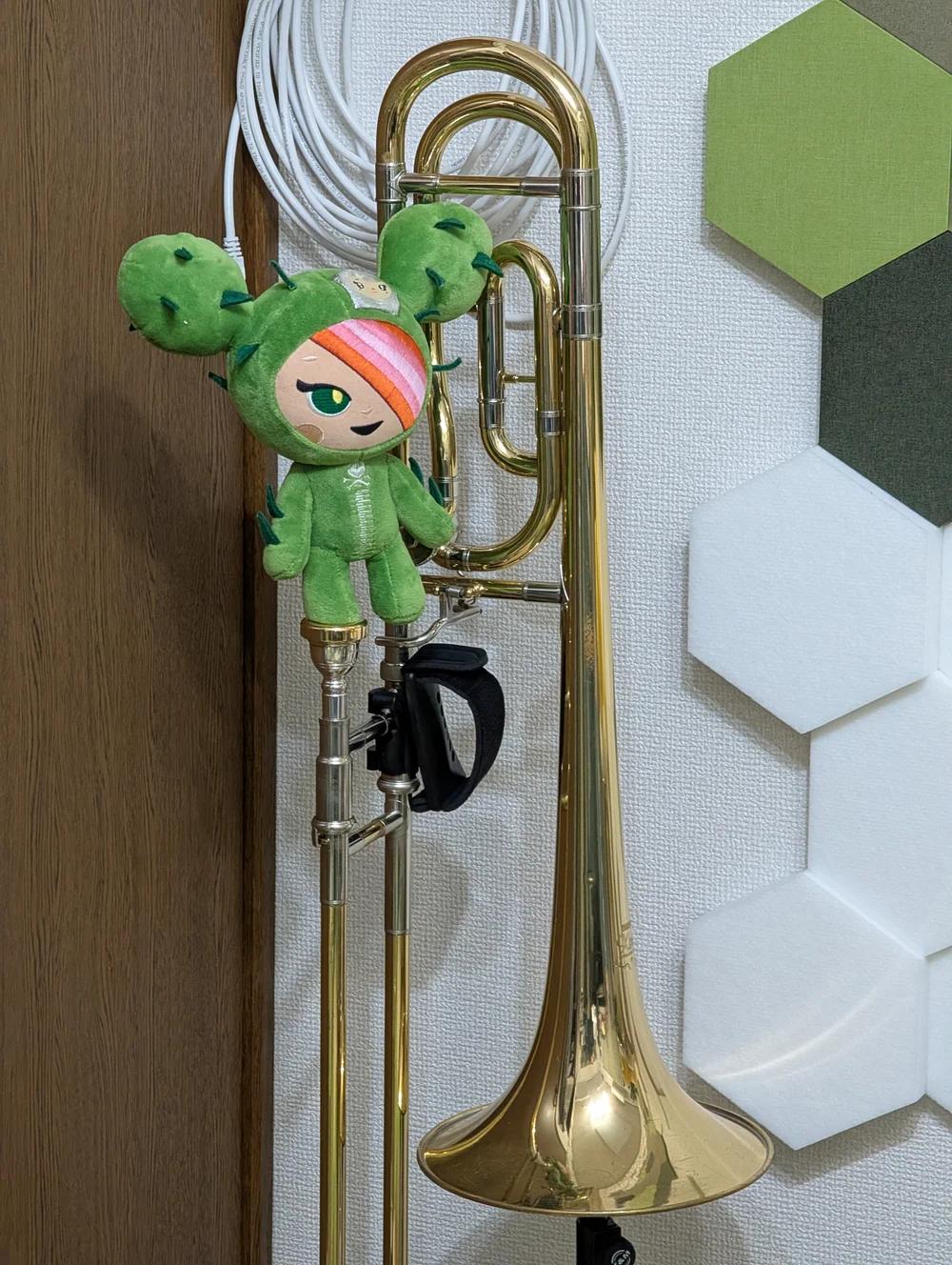 Photograph of Sally, Yamaha Xeno YSL-882U Trombone